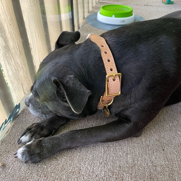 Teal ombré rope & leather collar - Picture 5 of 5